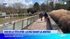 Lyon: l'association Paz demande les comptes du zoo