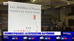 Divines d'Alsace: la viticulture au féminin