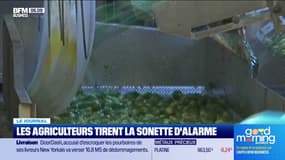 Face aux alertes du secteur de l'industrie agroalimentaire, le gouvernement tente de se montrer à l'écoute