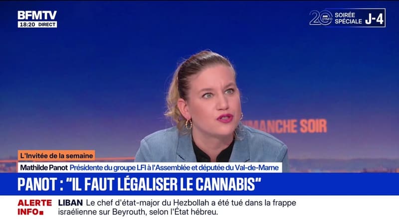 Drogue: pour Mathilde Panot (LFI), "la prohibition mène au désastre"