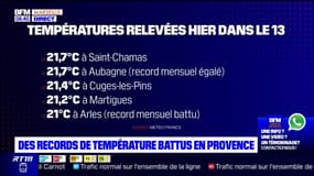 Provence: des records de chaleur pour un mois de janvier enregistrés mercredi