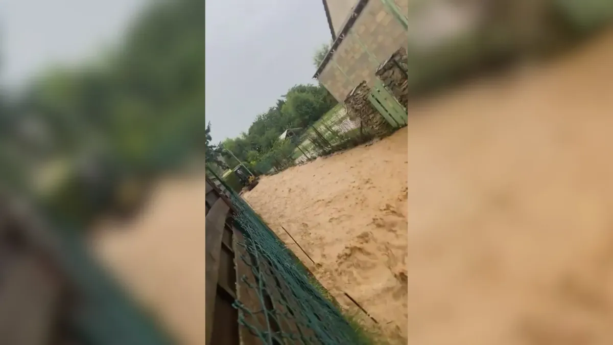 placeholder video