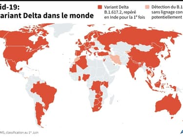 Le variant Delta dans le monde (photo d'illustration)