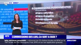 À quoi servent les commissions de l'Assemblée nationale?