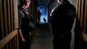 Des policiers de la brigade canine  inspectent le sous-sol d'un immeuble, dans le cadre de "l'opération de nettoyage XXL" lancée simultanément dans plusieurs villes de France pour lutter contre le trafic de drogue, le 25 mars 2024 à Chenove, en Côte d'Or