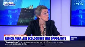 Écologistes visés par une enquête: Fabienne Grébert dénonce une "manœuvre politique" de Laurent Wauquiez