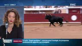 Information RMC - Le gouvernement veut interdire la corrida aux mineurs