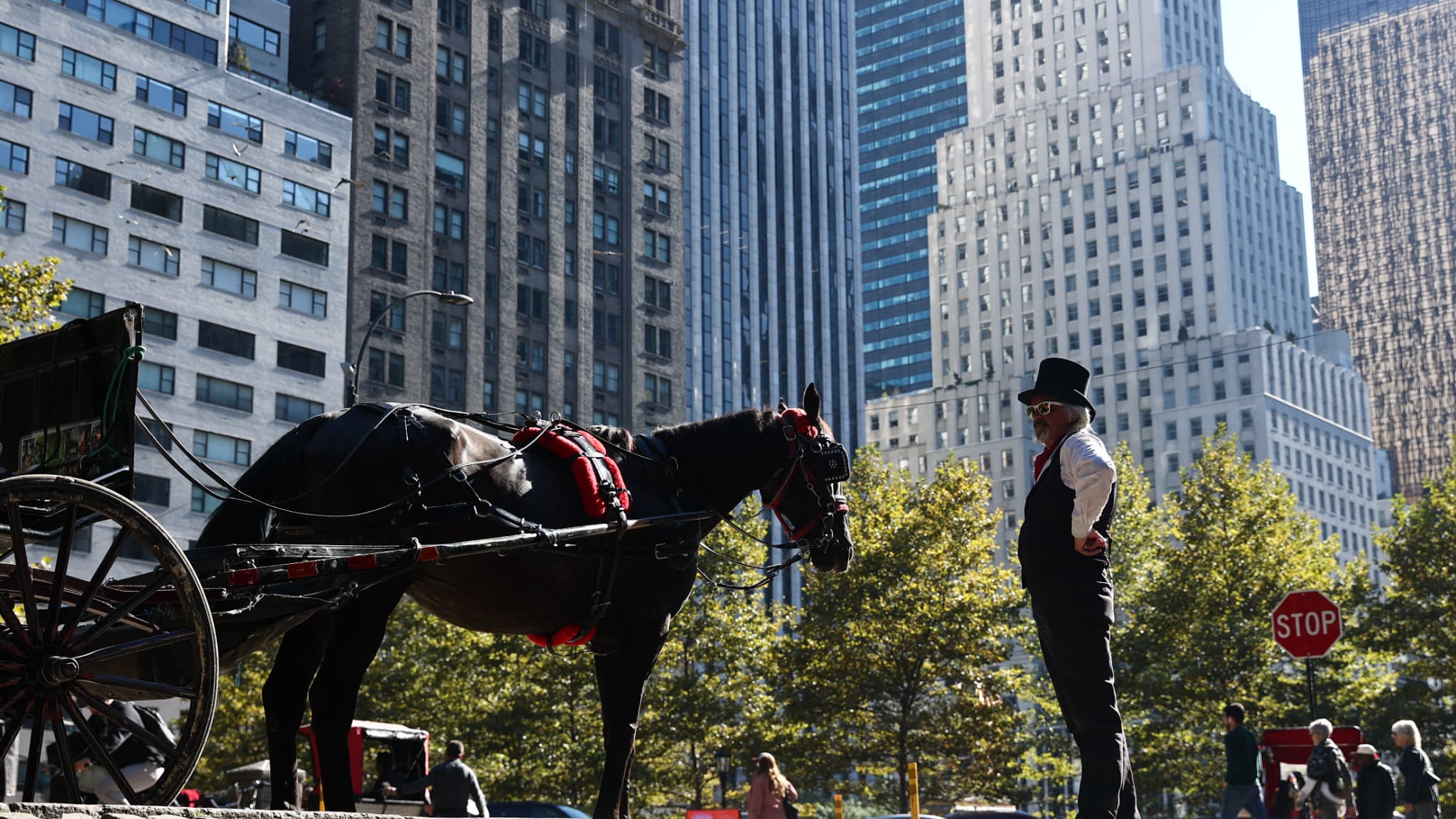 Un jeune homme de 18 ans meurt dans un accident de calèche à Central Park, à New York