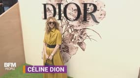 Céline Dion, Natalie Portman, Karlie Kloss... une pluie de stars pour les 70 ans de Dior