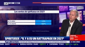 Secteur des spiritueux : “Il y a eu un rattrapage en 2021" 