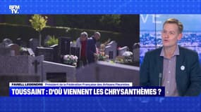 BFMTV répond à vos questions : Quelles fleurs pour la Toussaint ? - 01/11