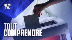 Le référendum sur la lutte pour le climat devrait être le dixième organisé en France depuis le début de la Ve République.