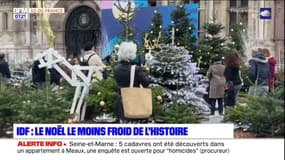 Île-de-France: le Noël le moins froid l'histoire