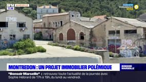 Montredon : un projet immobilier polémique