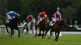 Le quinté du mardi 29 juin aura lieu à Auteuil. 