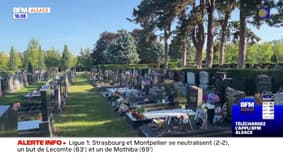 Strasbourg: les Journées du matrimoine ont eu lieu ce week-end
