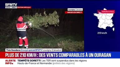 Tempête Goretti: dans le Calvados, les premières équipes s'occupent de déblayer les routes après des chutes d'arbres