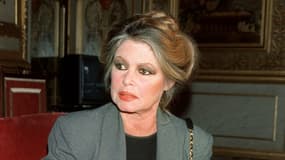 Portrait de l'ancienne actrice française Brigitte Bardot pris à Paris le 20 avril 1989 à Paris, lors de sa visite au Sénat pour soutenir deux propositions du projet de loi sur la protection animale.

Headshot taken April 20th 1989 of French veteran actress Brigitte Bardot at the senate in Paris, to defend too bills on the protection of animal.Portrait de l'ancienne actrice française Brigitte Bardot pris à Paris le 20 avril 1989 à Paris, lors de sa visite au Sénat pour soutenir deux propositions du projet de loi sur la protection animale.

Headshot taken April 20th 1989 of French veteran actress Brigitte Bardot at the senate in Paris, to defend too bills on the protection of animal.