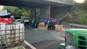 Des agriculteurs bloquant l'A25 entre Météren et Herzeele (Nord) le mardi 20 mai 2025.