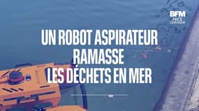 Antibes: un robot aspirateur ramasse les déchets dans le port