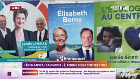Elections législatives: dans le Cavaldos, Elisabeth Borne est seule contre tous