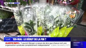 "J'en ai acheté seulement 60 pots au lieu de 400-500 pots d'habitude": ce fleuriste a prévu moins de stock de muguet cette année notamment à cause de l'inflation