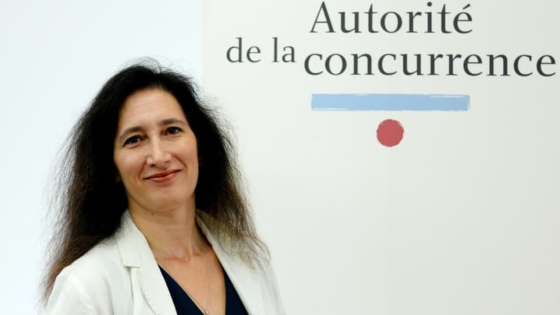 L'Autorité de la concurrence, dirigée par Isabelle de Silva, a fait réaliser par l'Ifop une enquête sur les Français face aux pratiques de cartel.