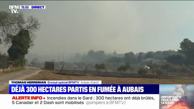 Incendies dans le Gard: déjà 300 hectares partis en fumée à Aubais