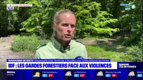 Île-de-France: les gardes-forestiers face aux violences