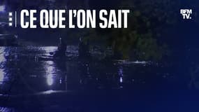 Trois enfants sont morts après être tombés dans un lac gelé dans le centre de l'Angleterre ce dimanche.
