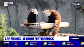 Cap au Nord: le zoo de Fort-Mardyck