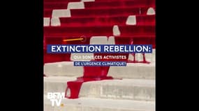 Extinction Rebellion: qui sont ces activistes de l'urgence climatique?