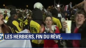 La fête aux Herbiers
