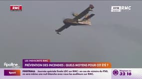 Prévention des incendies : quels moyens pour cet été? 