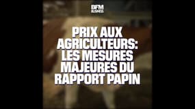 Prix aux agriculteurs: les mesures phares du rapport Papin