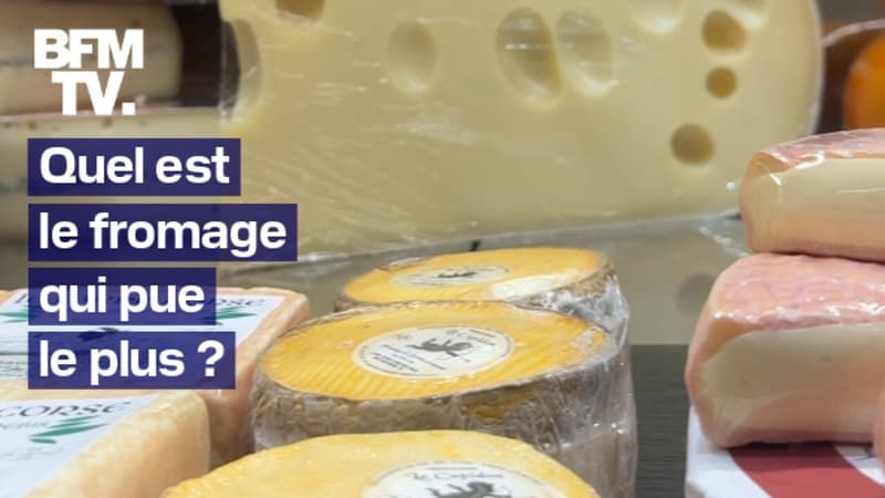 Regarder la vidéo Maroilles, Bleu, Munster… Quel est le fromage qui sent le plus mauvais ? 