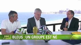 Football / Le Graët surpris par le parcours des Bleus - 03/07