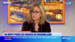 Marineland: l'association One Voice heureuse du maintien des orques dans le parc