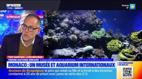 Top Sorties Nice du vendredi 22 novembre - Monaco : un musée et aquarium internationaux 
