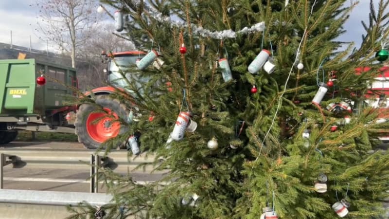 Des bombes lacrymogènes en guise de boules de Noël: les agriculteurs prêts à se mobiliser pendant les fêtes