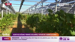 Agrivoltaïsme : le secteur agricole loin d'être rassuré