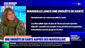 Marseille: 1048 questionnaires sur la santé remplis en dix jours