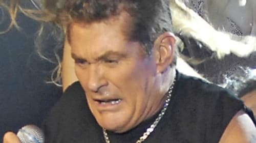 David Hasselhoff n'approuve pas David Hasselhoff n'approuve pas
