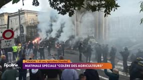 Colère des agriculteurs : "Il faut se concentrer sur des élements de fond"