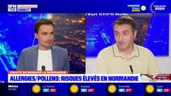 Allergies aux pollens: des risques élevés en Normandie