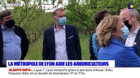 La métropole de Lyon aide les arboriculteurs