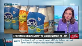 Dupin Quotidien: Les Français consomment de moins en moins de lait - 18/05