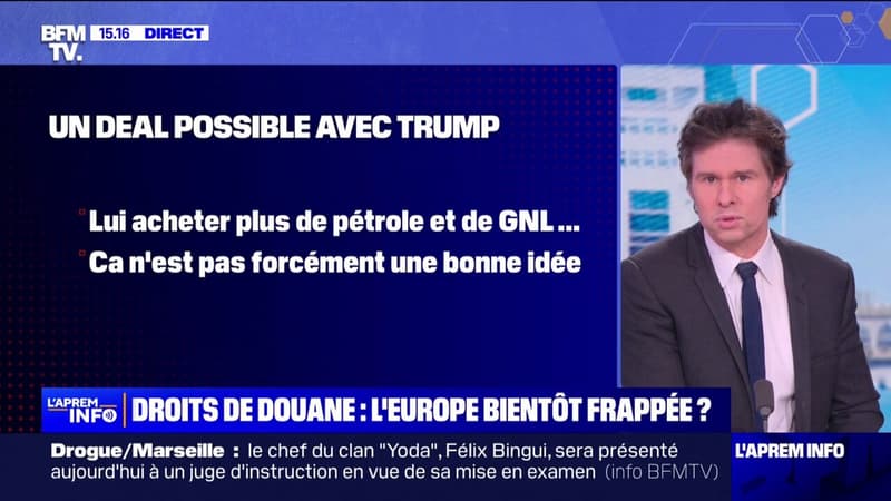 Investiture de Donald Trump: quels sont les secteurs en Europe qui pourraient être impactés par une hausse des droits de douane américains