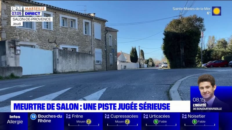 Salon-de-Provence: un homme se dénonce après le meurtre de deux octogénaires
