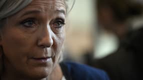 La présidente et députée du Rassemblement national Marine Le Pen, le 14 février 2019 près de Lyon. 